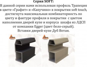 Шкаф-купе 1800 серии SOFT D1+D3+B2+PL1 (2 ящика+1штанга) профиль «Графит» в Новоуральске - novouralsk.ok-mebel.com | фото 11