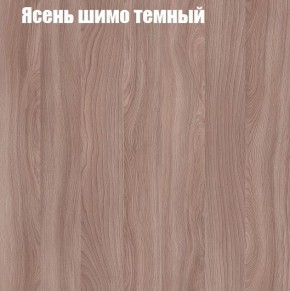 Шкаф-купе «ТАНДЕМ» 2-х дверный в алюминиевом профиле (Дверь ЛДСП+ЛДСП) 1400/h2200 в Новоуральске - novouralsk.ok-mebel.com | фото 7