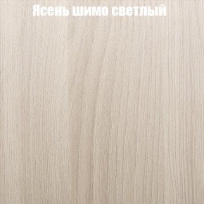 Шкаф-купе «ТАНДЕМ» 2-х дверный в алюминиевом профиле (Дверь ЛДСП+Z) 1600/h2200 в Новоуральске - novouralsk.ok-mebel.com | фото 6