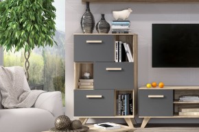 Шкаф низкий с нишами Вега Скандинавия в Новоуральске - novouralsk.ok-mebel.com | фото 6