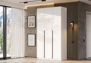 Шкаф платяной Даиго в Новоуральске - novouralsk.ok-mebel.com | фото 3