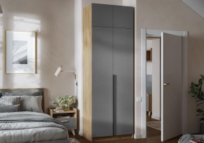 Шкаф платяной Широн в Новоуральске - novouralsk.ok-mebel.com | фото 4