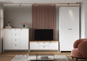 Шкаф платяной Теодора в Новоуральске - novouralsk.ok-mebel.com | фото 4