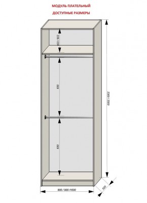 Шкаф распашной серия «ЗЕВС» (PL3/С1/PL2) в Новоуральске - novouralsk.ok-mebel.com | фото 12