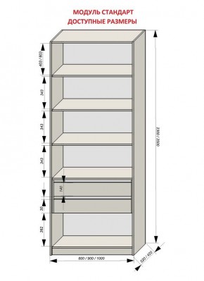 Шкаф распашной серия «ЗЕВС» (PL3/С1/PL2) в Новоуральске - novouralsk.ok-mebel.com | фото 13