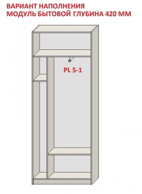 Шкаф распашной серия «ЗЕВС» (PL3/С1/PL2) в Новоуральске - novouralsk.ok-mebel.com | фото 4