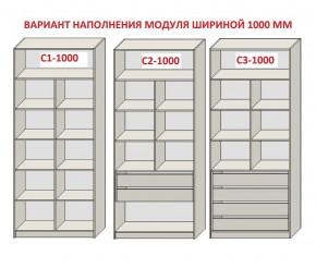 Шкаф распашной серия «ЗЕВС» (PL3/С1/PL2) в Новоуральске - novouralsk.ok-mebel.com | фото 7