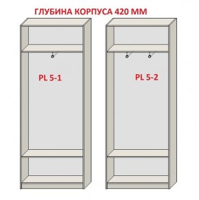 Шкаф распашной серия «ЗЕВС» (PL3/С1/PL2) в Новоуральске - novouralsk.ok-mebel.com | фото 8