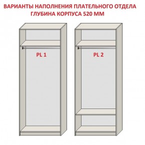 Шкаф распашной серия «ЗЕВС» (PL3/С1/PL2) в Новоуральске - novouralsk.ok-mebel.com | фото 9