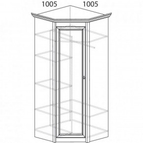 Шкаф угловой №662 "Флоренция" Фасад глухой (угол 1005*1005) Дуб оксфорд в Новоуральске - novouralsk.ok-mebel.com | фото 3