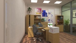 Шкафы для документов Р.Ш-4СБ в Новоуральске - novouralsk.ok-mebel.com | фото 5