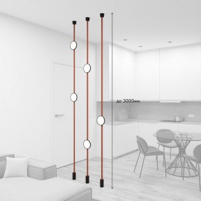 Светильник на растяжке Denkirs Belty SET DK55SET19-01-BR в Новоуральске - novouralsk.ok-mebel.com | фото 3