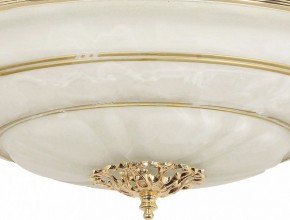 Светильник на штанге Arti Lampadari Pavia Pavia E 1.13.P40 G в Новоуральске - novouralsk.ok-mebel.com | фото 3