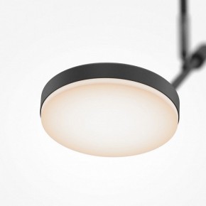 Светильник на штанге Maytoni Fad MOD070CL-L8B3K в Новоуральске - novouralsk.ok-mebel.com | фото 4