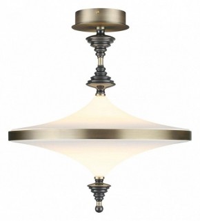 Светильник на штанге Odeon Light Ula 5404/43CL в Новоуральске - novouralsk.ok-mebel.com | фото 2