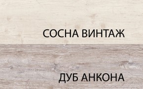 Тумба RTV 1D2SN, MONAKO, цвет Сосна винтаж/дуб анкона в Новоуральске - novouralsk.ok-mebel.com | фото 3