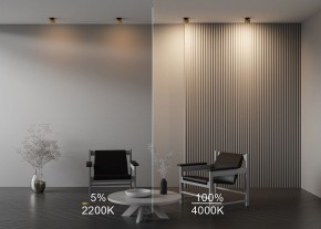 Встраиваемый светильник Maytoni Onda DL024-12W-DTW-BMG в Новоуральске - novouralsk.ok-mebel.com | фото 9